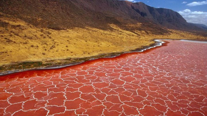1652227204 970 بحيرة الدماء الحمراء في تنزانيا